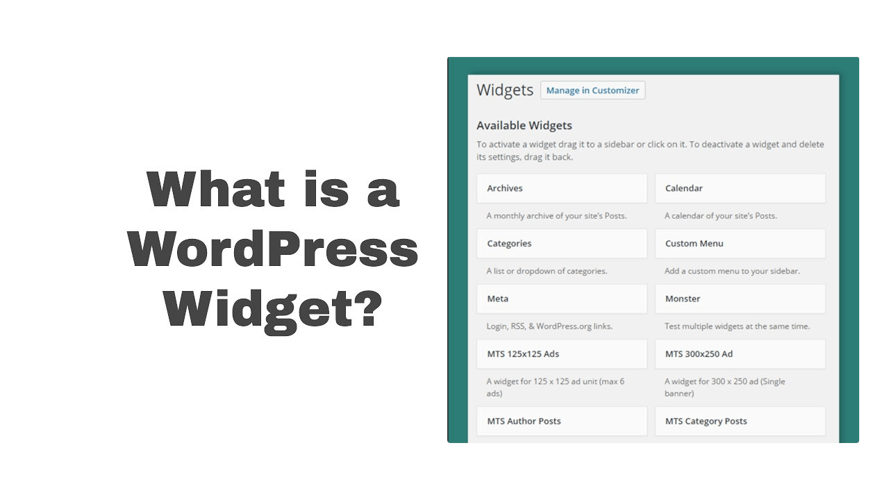 WordPress Widget